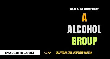 Understanding the Chemical Structure of Alcohol Functional Groups