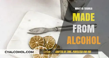 Exploring the Agave Spirit: What's in Your Tequila?
