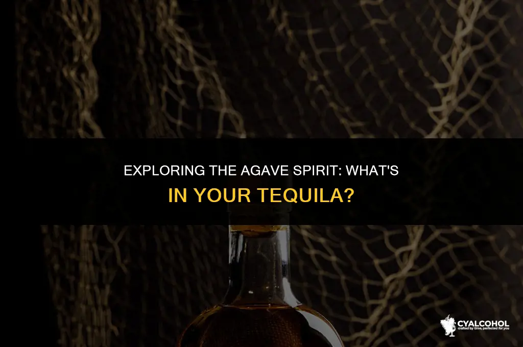what is tequila made from alcohol