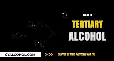 Understanding Tertiary Alcohol: Structure, Properties, and Key Applications Explained