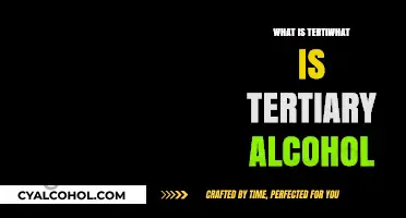 Exploring Tertiary Alcohols: Structure, Properties, and Uses