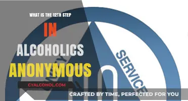 Understanding the 12th Step: AA's Message of Service and Sobriety