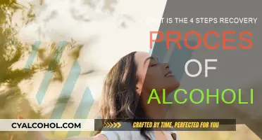 Recovery from Alcoholism: A 4-Step Guide to Success