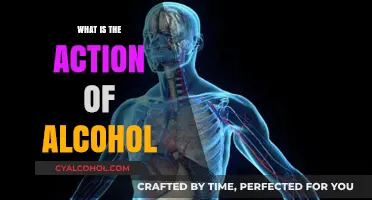 Unveiling the Effects: How Alcohol Influences Your Body and Mind