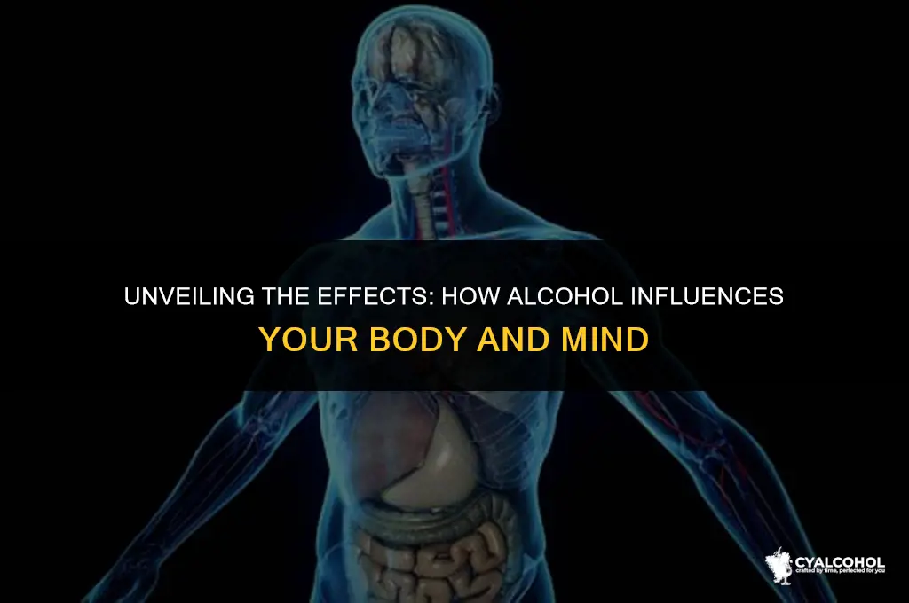 what is the action of alcohol