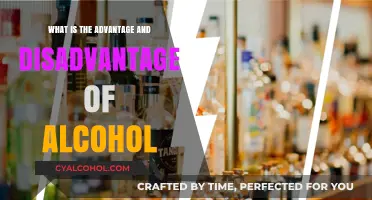 Alcohol's Dual Edge: Exploring Pros and Cons of Drinking