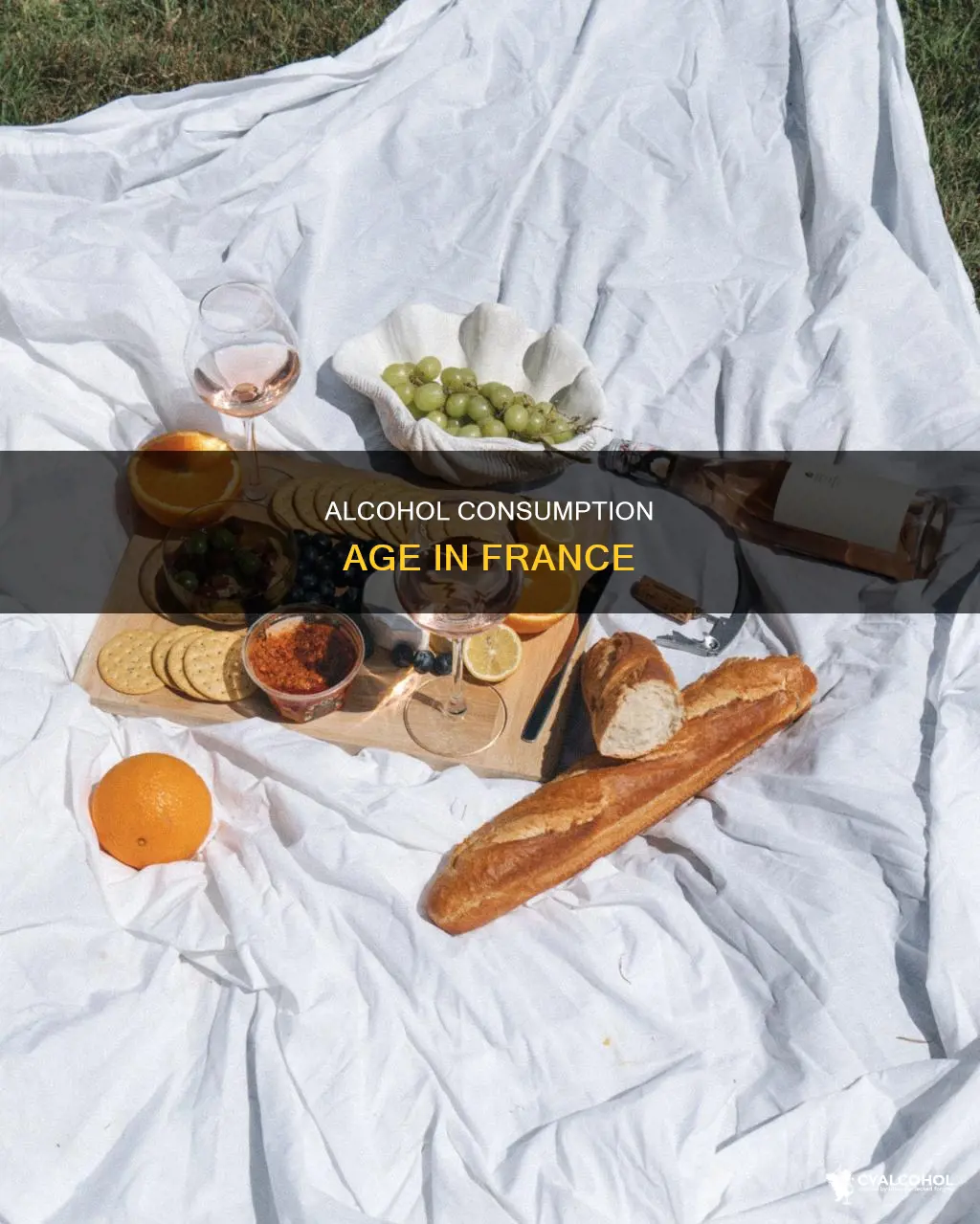 what is the age to consume alcohol in france