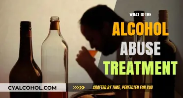 Effective Strategies for Alcohol Abuse Treatment and Recovery