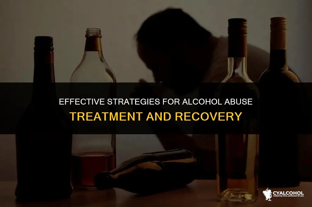 what is the alcohol abuse treatment