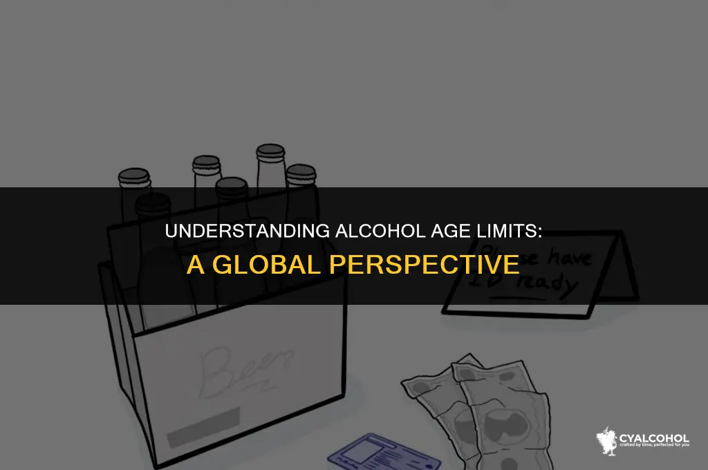 what is the alcohol age limit