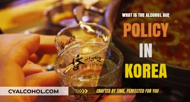 Korea's Alcohol Age Policy: Legal Drinking Age Explained