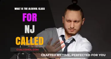 Understanding New Jersey's Alcohol Education Program: What is the Class Called?