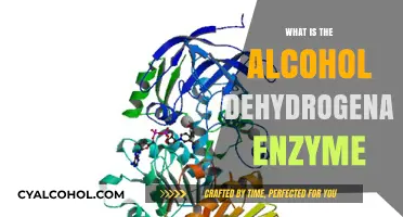 Unlocking the Secrets of Alcohol Dehydrogenase Enzyme: A Comprehensive Guide