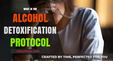 Navigating Sobriety: A Comprehensive Guide to Alcohol Detoxification
