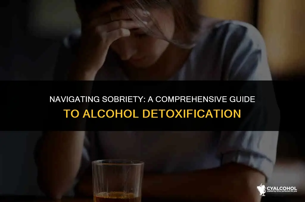what is the alcohol detoxification protocol
