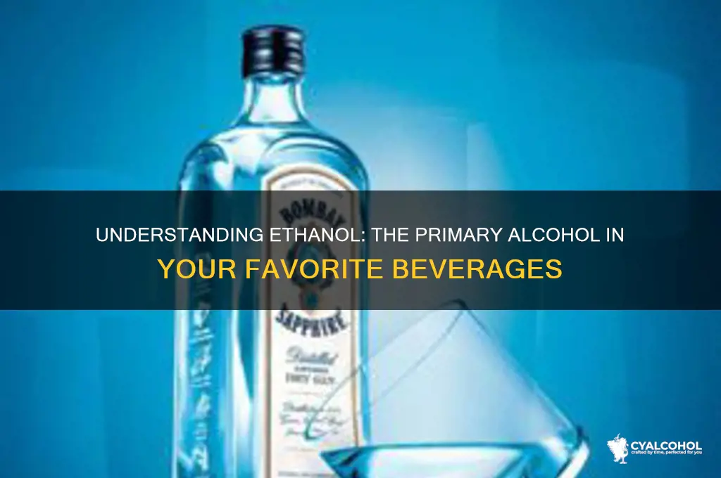 what is the alcohol found in alcoholic beverages