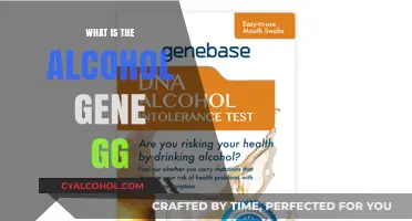 Unraveling the Mystery of the Alcohol Gene: A GG Variant Explained