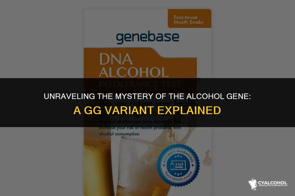what is the alcohol gene gg