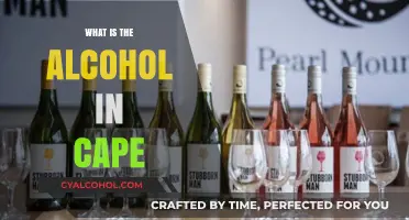 Exploring Cape Town's Vibrant Alcohol Scene: A Comprehensive Guide