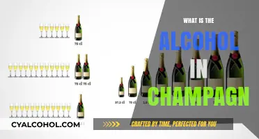 Exploring the Bubbly: Understanding the Alcohol Content in Champagne