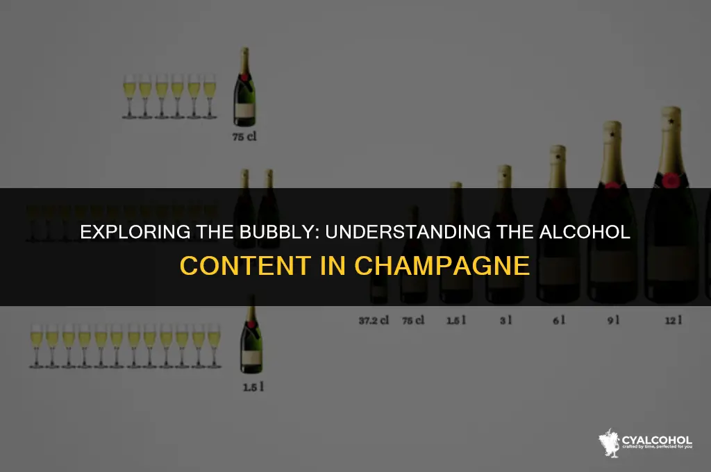 what is the alcohol in champagne