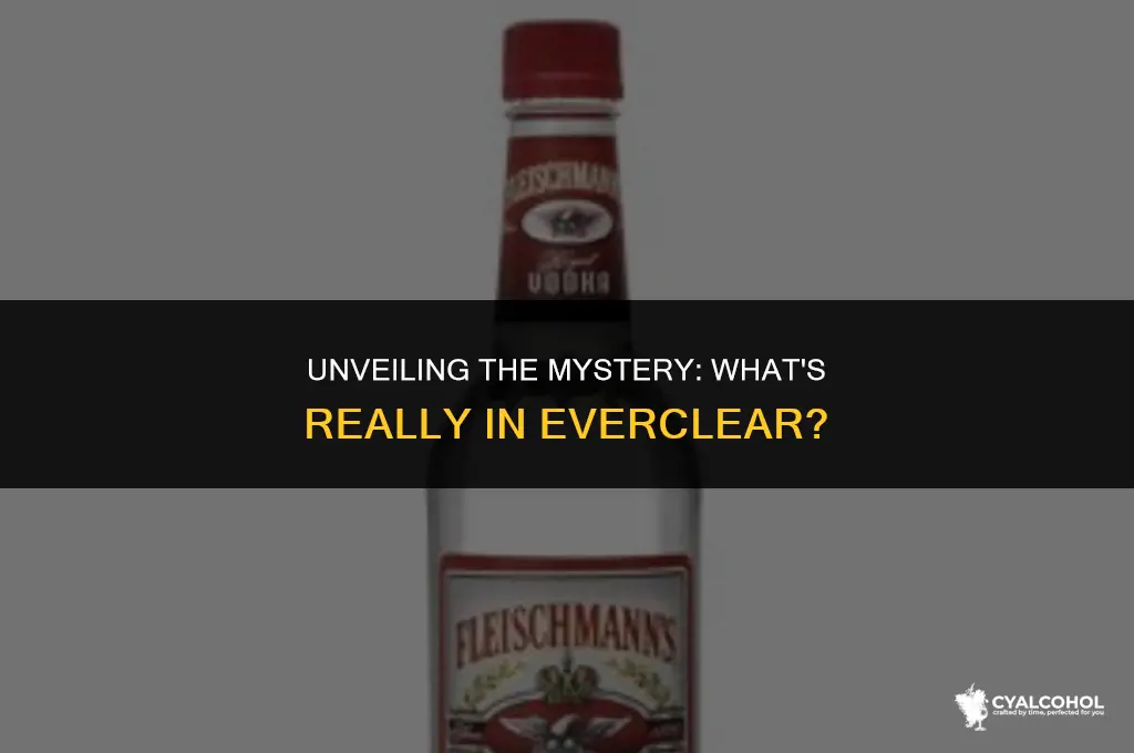 what is the alcohol in everclear