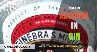 Exploring the Spirit: What's the Alcohol Content in Gin?