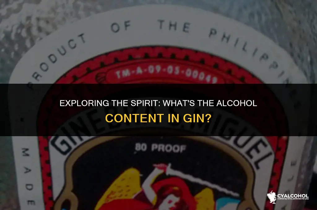 what is the alcohol in gin