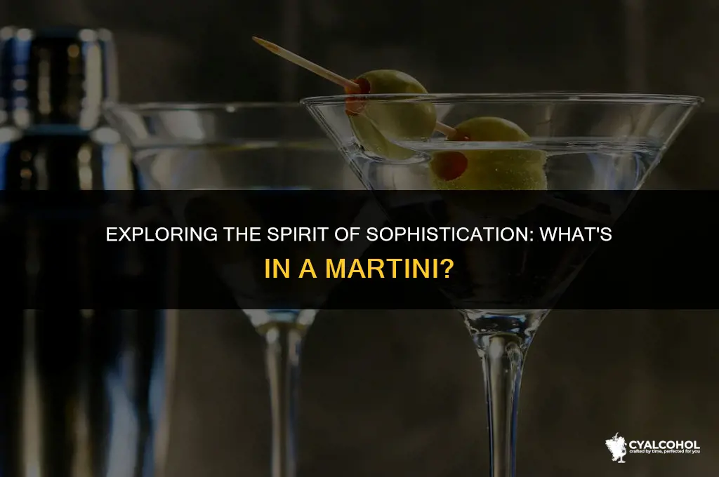 what is the alcohol in martini