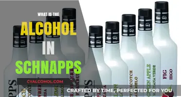 Exploring Schnapps: Understanding the Alcohol Content in This Popular Spirit