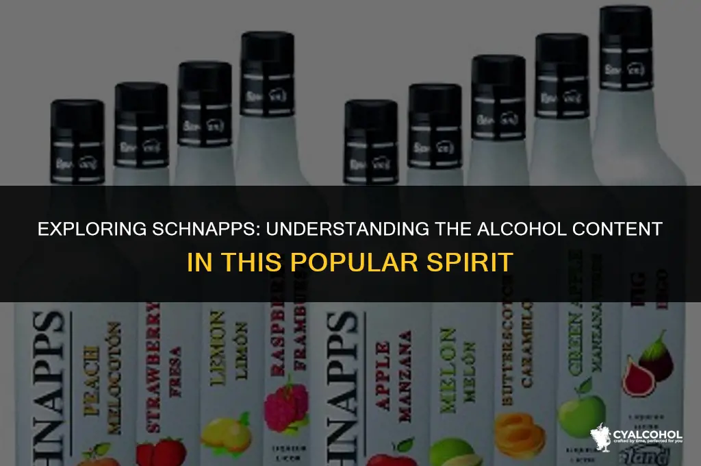 what is the alcohol in schnapps