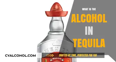 Unveiling the Spirit: Understanding the Alcohol Content in Tequila