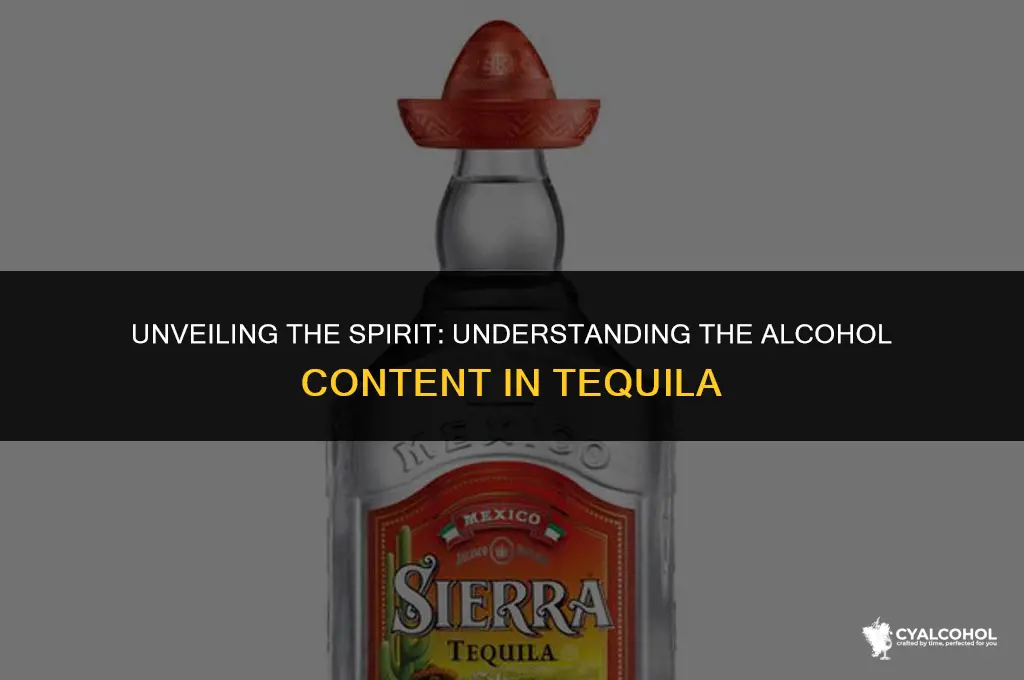 what is the alcohol in tequila