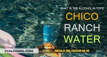 Topo Chico Ranch Water Alcohol Content Explained