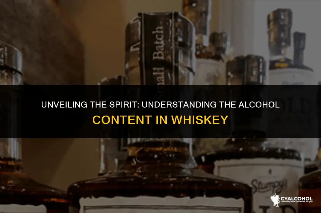 what is the alcohol in whiskey