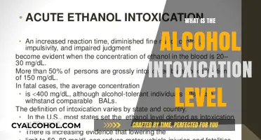 Understanding Alcohol Intoxication Levels: A Comprehensive Guide