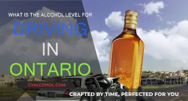 Ontario's Legal Limit: Alcohol and Driving