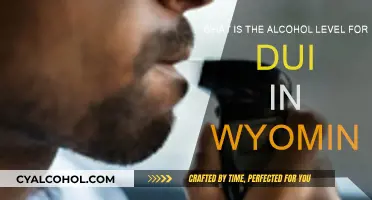Wyoming DUI Law: Alcohol Level and Penalties