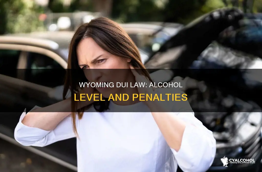 what is the alcohol level for dui in wyoming
