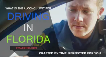Florida's DUI Laws: Alcohol Limit for Safe Driving