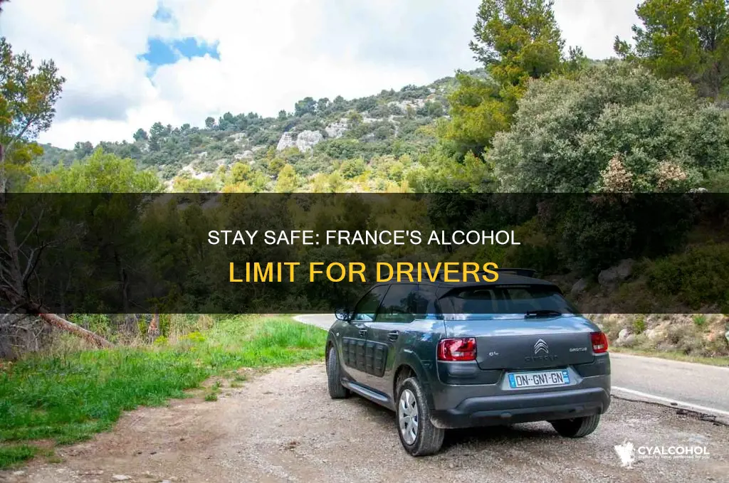 what is the alcohol limit for driving in france