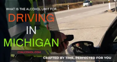 Michigan's Strict DUI Laws: Alcohol Limit for Driving