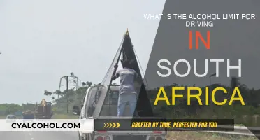 South Africa's Strict Drink-Driving Limits