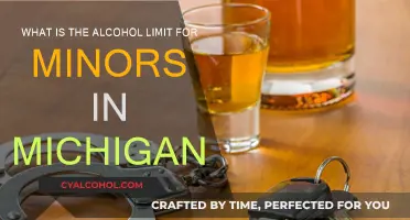 Michigan's Zero Tolerance for Minors and Alcohol