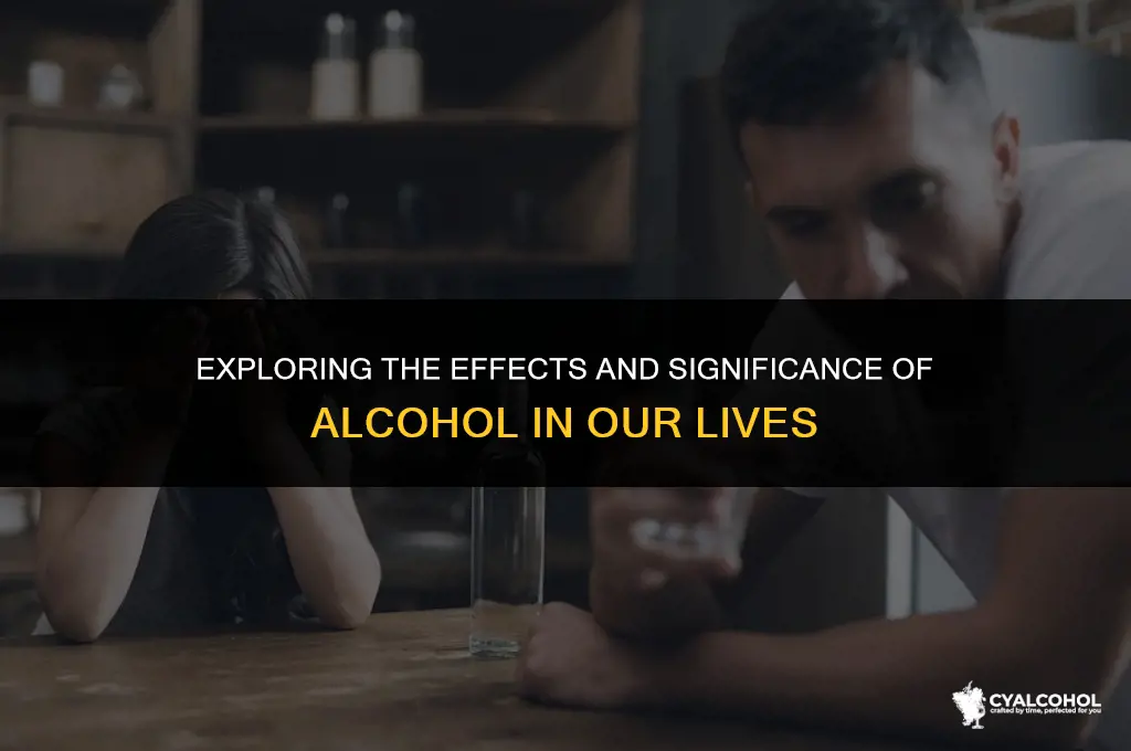 what is the alcohol to us