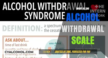 Understanding Alcohol Withdrawal: A Comprehensive Scale Guide