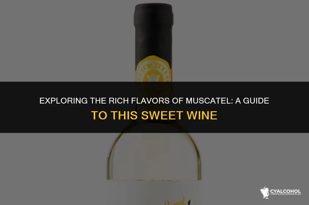 what is the alcoholic beverage muscatel