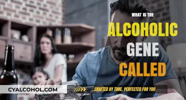 Unveiling the Genetic Link: The Gene Behind Alcoholism Explained