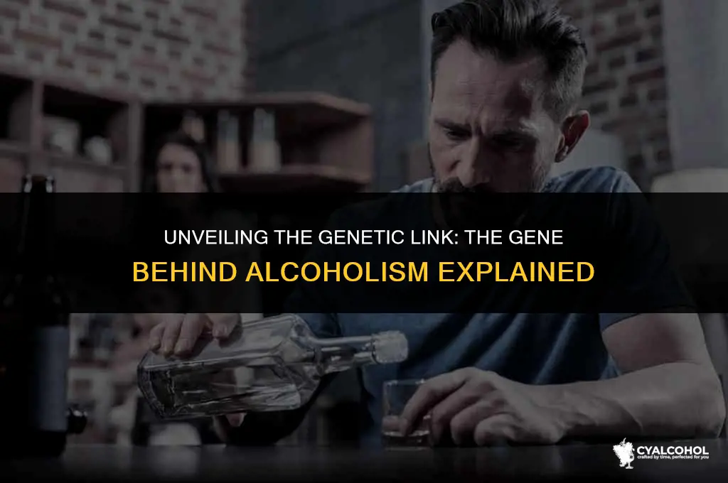 what is the alcoholic gene called