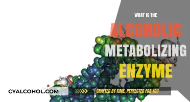 Unlocking the Secrets of Alcohol Metabolism: The Enzyme Connection